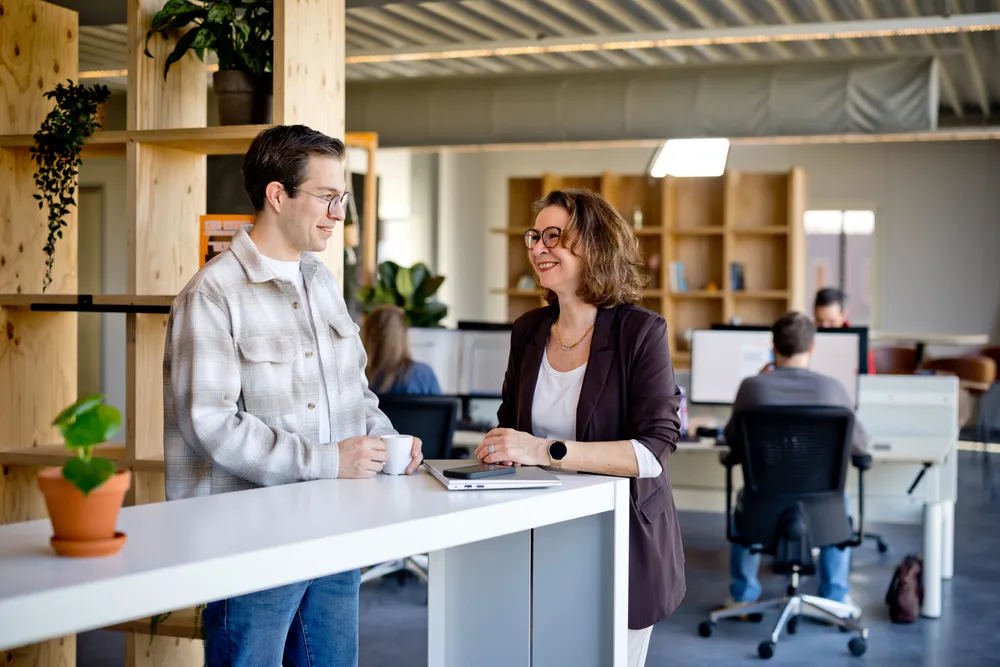 Implementatie consultant